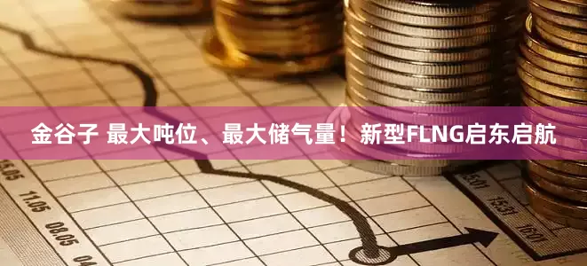 金谷子 最大吨位、最大储气量！新型FLNG启东启航
