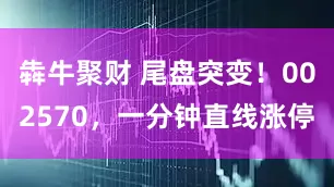 犇牛聚财 尾盘突变！002570，一分钟直线涨停